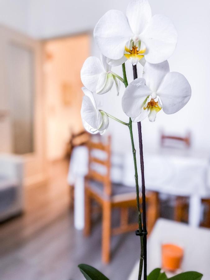 Myhouse Inn Marche - Affitti Brevi Italia Turyn Zewnętrze zdjęcie
